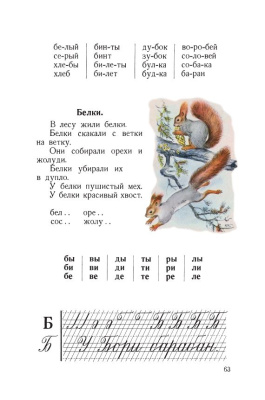 Букварь цветной, увеличенного формата. Редозубов С.П. 1955