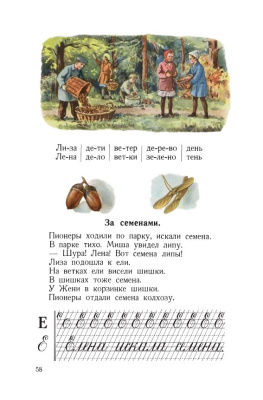 Букварь цветной, увеличенного формата. Редозубов С.П. 1955